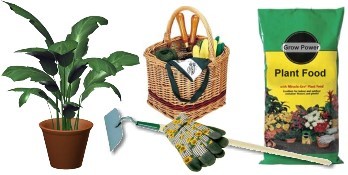 Vertical Gardening